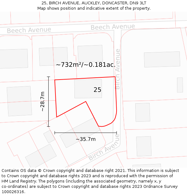 25, BIRCH AVENUE, AUCKLEY, DONCASTER, DN9 3LT: Plot and title map