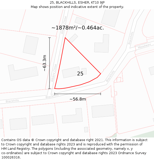 25, BLACKHILLS, ESHER, KT10 9JP: Plot and title map