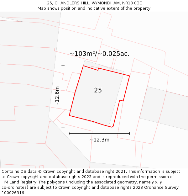 25, CHANDLERS HILL, WYMONDHAM, NR18 0BE: Plot and title map