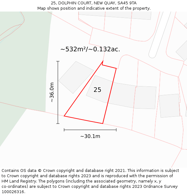 25, DOLPHIN COURT, NEW QUAY, SA45 9TA: Plot and title map