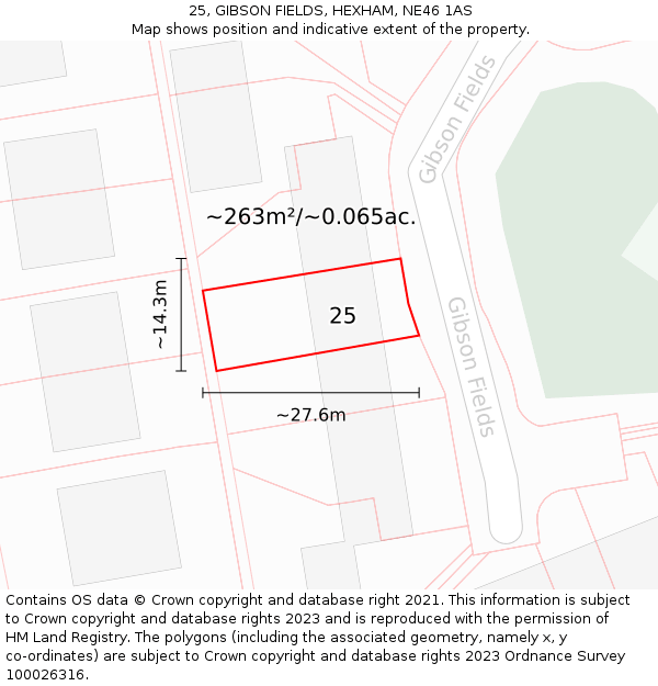 25, GIBSON FIELDS, HEXHAM, NE46 1AS: Plot and title map