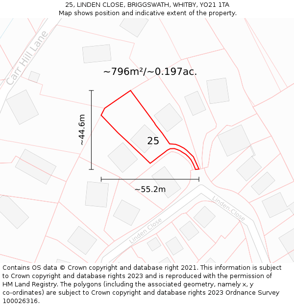 25, LINDEN CLOSE, BRIGGSWATH, WHITBY, YO21 1TA: Plot and title map