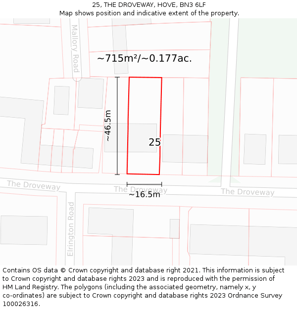 25, THE DROVEWAY, HOVE, BN3 6LF: Plot and title map