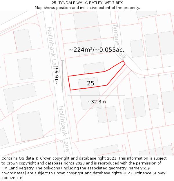 25, TYNDALE WALK, BATLEY, WF17 8PX: Plot and title map