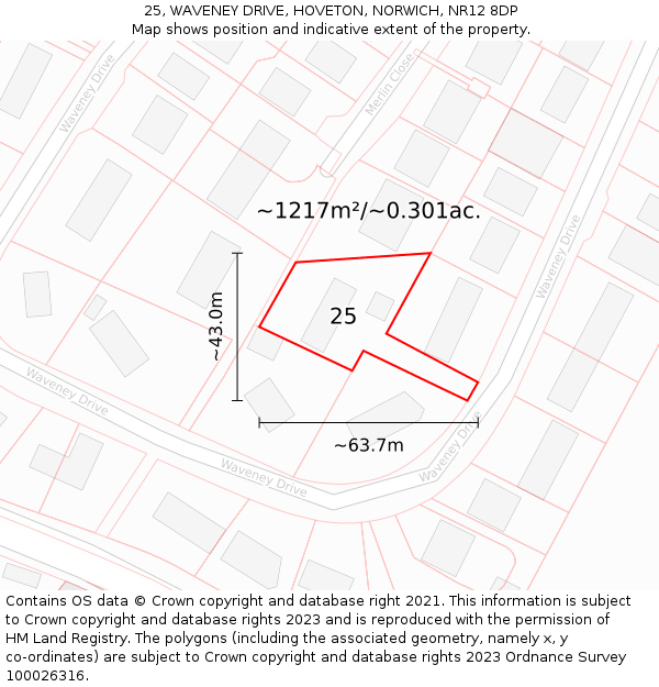 25, WAVENEY DRIVE, HOVETON, NORWICH, NR12 8DP: Plot and title map