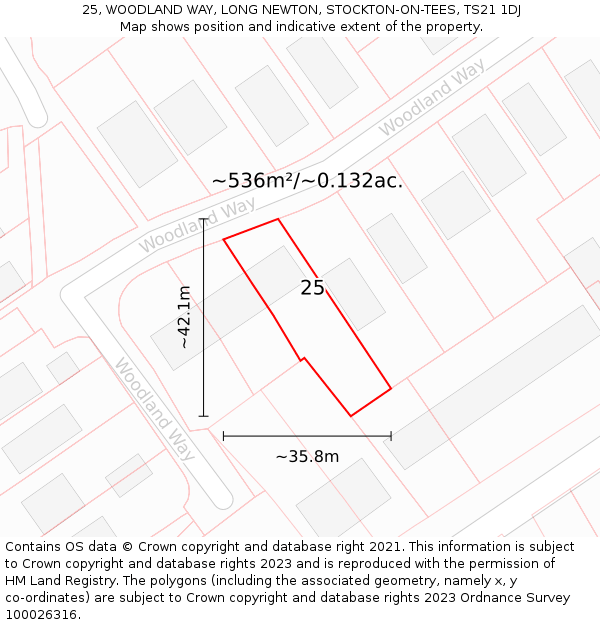 25, WOODLAND WAY, LONG NEWTON, STOCKTON-ON-TEES, TS21 1DJ: Plot and title map