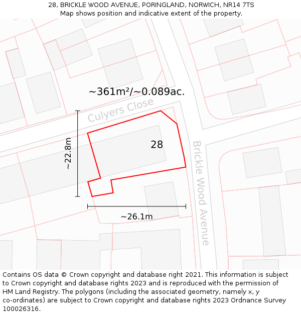 28, BRICKLE WOOD AVENUE, PORINGLAND, NORWICH, NR14 7TS: Plot and title map