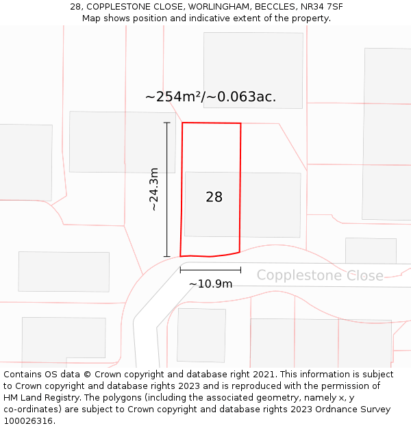 28, COPPLESTONE CLOSE, WORLINGHAM, BECCLES, NR34 7SF: Plot and title map