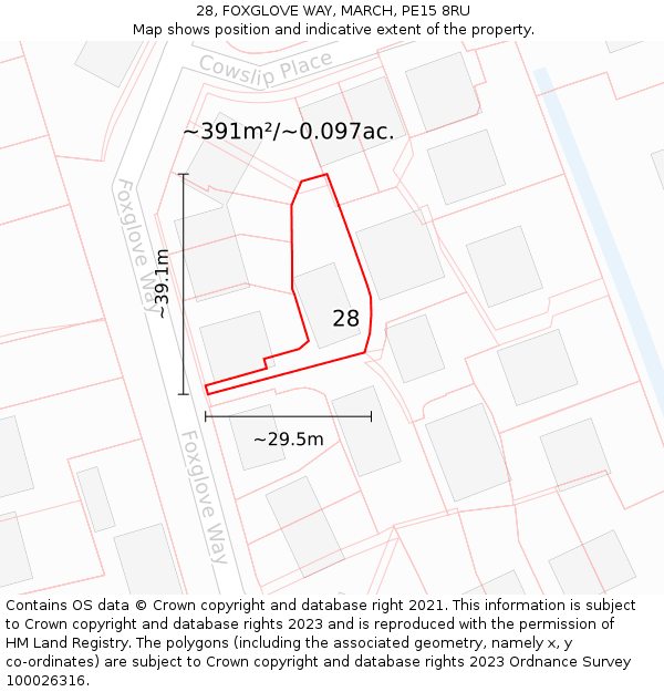 28, FOXGLOVE WAY, MARCH, PE15 8RU: Plot and title map