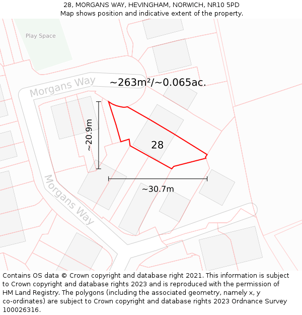 28, MORGANS WAY, HEVINGHAM, NORWICH, NR10 5PD: Plot and title map