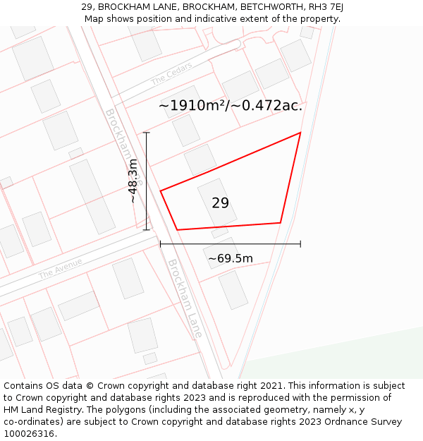 29, BROCKHAM LANE, BROCKHAM, BETCHWORTH, RH3 7EJ: Plot and title map