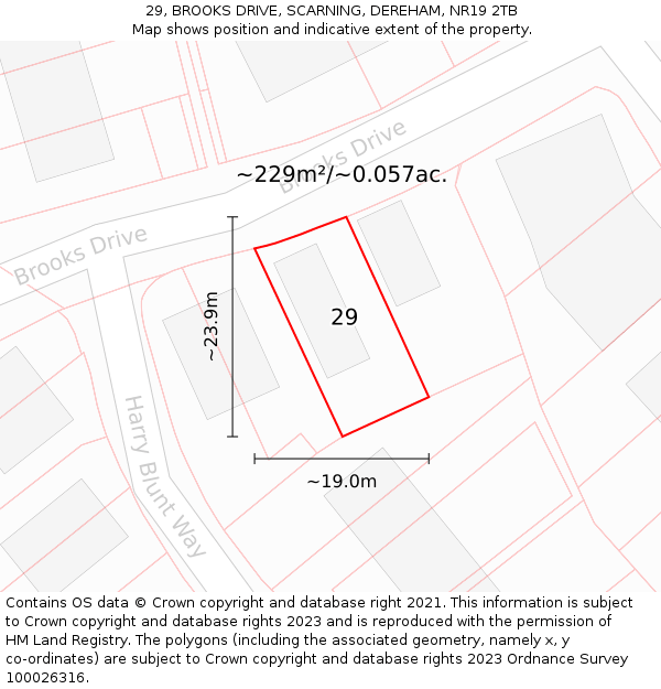 29, BROOKS DRIVE, SCARNING, DEREHAM, NR19 2TB: Plot and title map