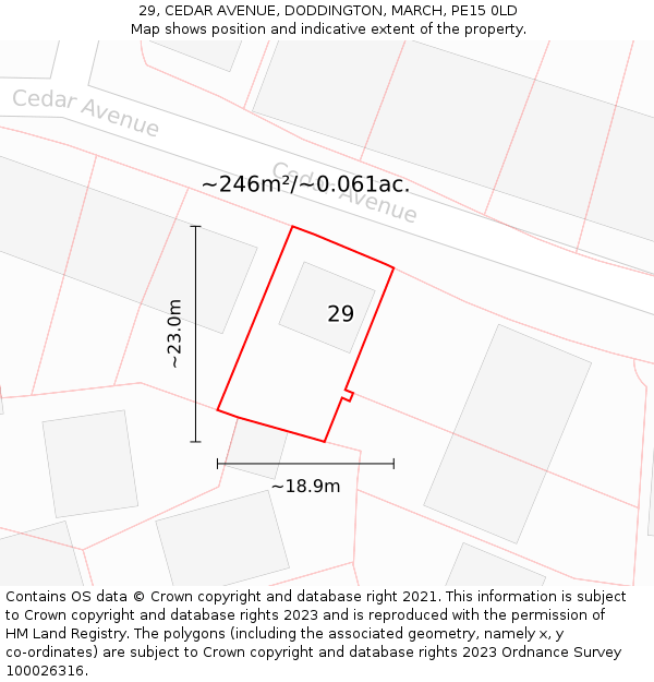 29, CEDAR AVENUE, DODDINGTON, MARCH, PE15 0LD: Plot and title map