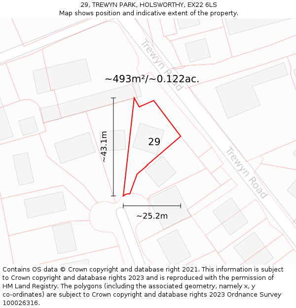 29, TREWYN PARK, HOLSWORTHY, EX22 6LS: Plot and title map