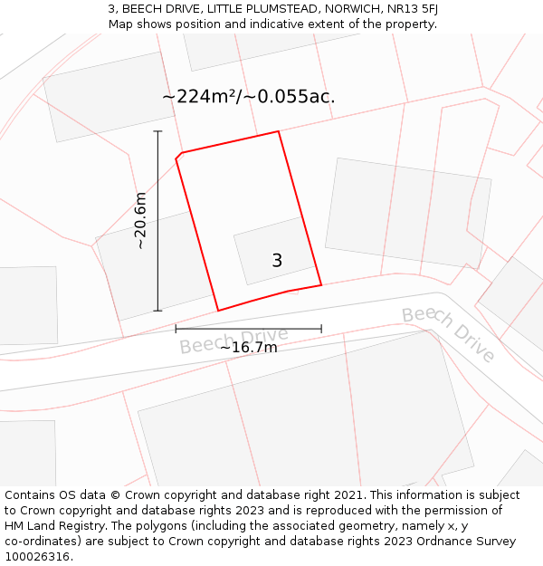 3, BEECH DRIVE, LITTLE PLUMSTEAD, NORWICH, NR13 5FJ: Plot and title map