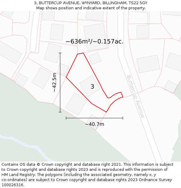 3, BUTTERCUP AVENUE, WYNYARD, BILLINGHAM, TS22 5GY: Plot and title map