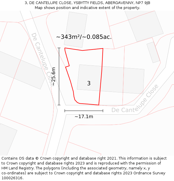 3, DE CANTELUPE CLOSE, YSBYTTY FIELDS, ABERGAVENNY, NP7 9JB: Plot and title map