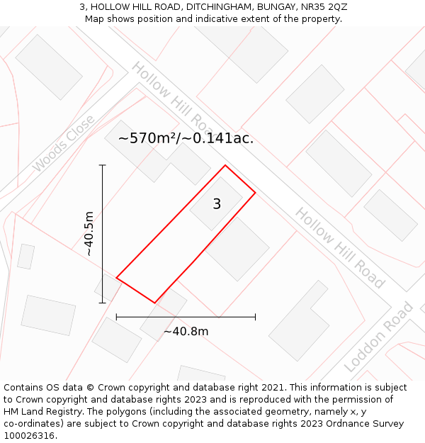 3, HOLLOW HILL ROAD, DITCHINGHAM, BUNGAY, NR35 2QZ: Plot and title map