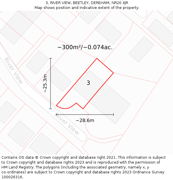 3, RIVER VIEW, BEETLEY, DEREHAM, NR20 4JR: Plot and title map