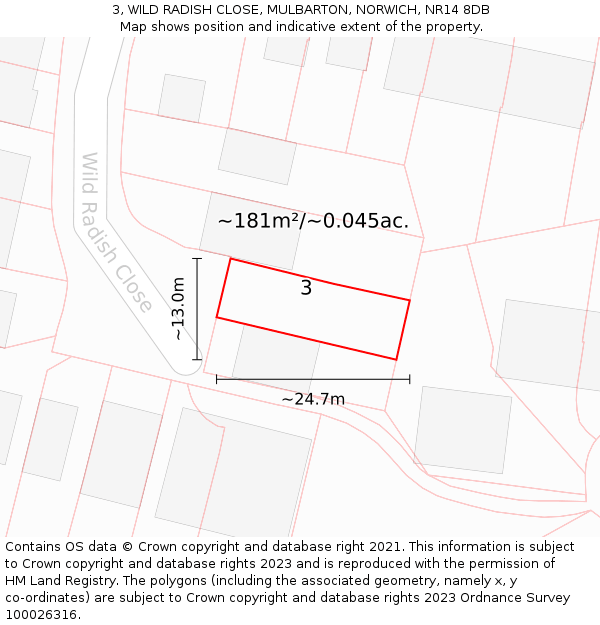 3, WILD RADISH CLOSE, MULBARTON, NORWICH, NR14 8DB: Plot and title map