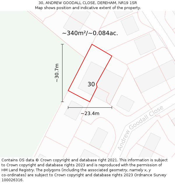 30, ANDREW GOODALL CLOSE, DEREHAM, NR19 1SR: Plot and title map