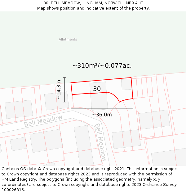 30, BELL MEADOW, HINGHAM, NORWICH, NR9 4HT: Plot and title map