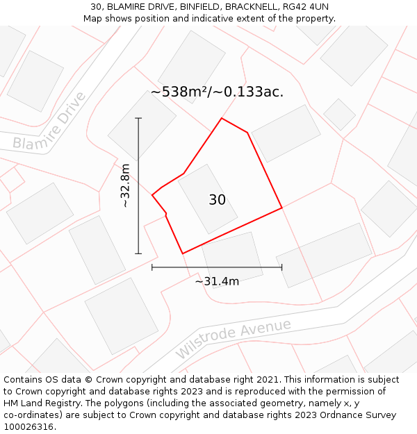 30, BLAMIRE DRIVE, BINFIELD, BRACKNELL, RG42 4UN: Plot and title map