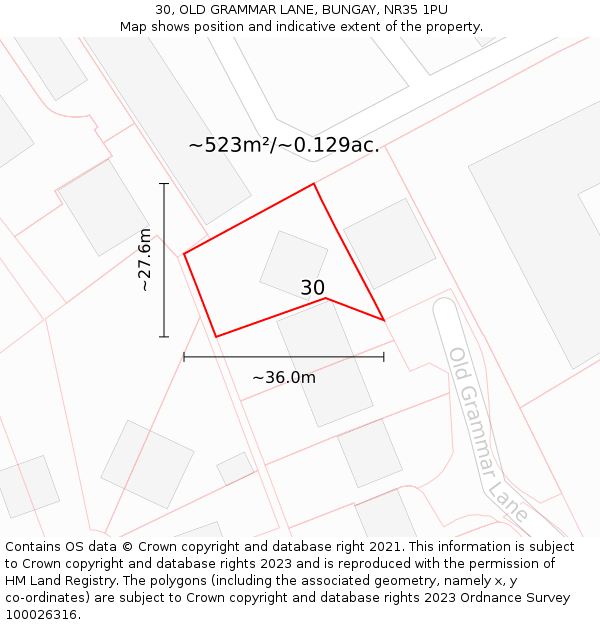 30, OLD GRAMMAR LANE, BUNGAY, NR35 1PU: Plot and title map