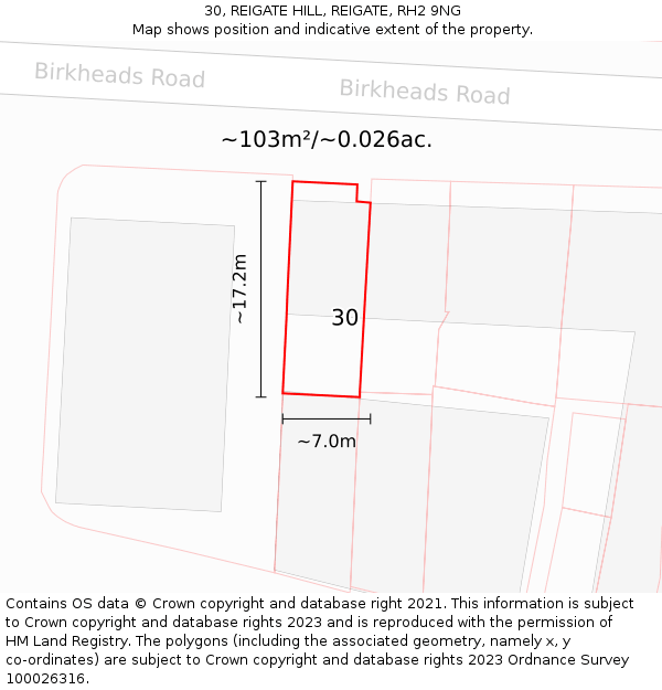 30, REIGATE HILL, REIGATE, RH2 9NG: Plot and title map