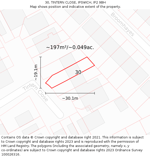 30, TINTERN CLOSE, IPSWICH, IP2 9BH: Plot and title map