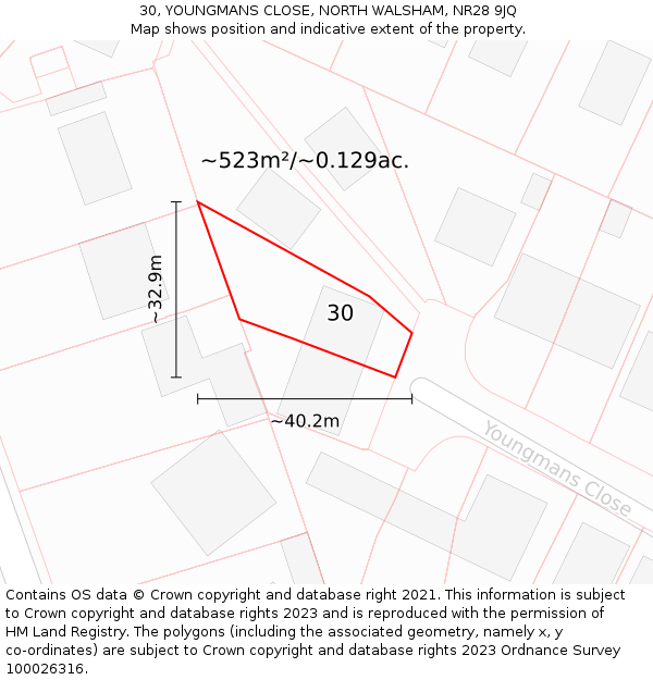 30, YOUNGMANS CLOSE, NORTH WALSHAM, NR28 9JQ: Plot and title map