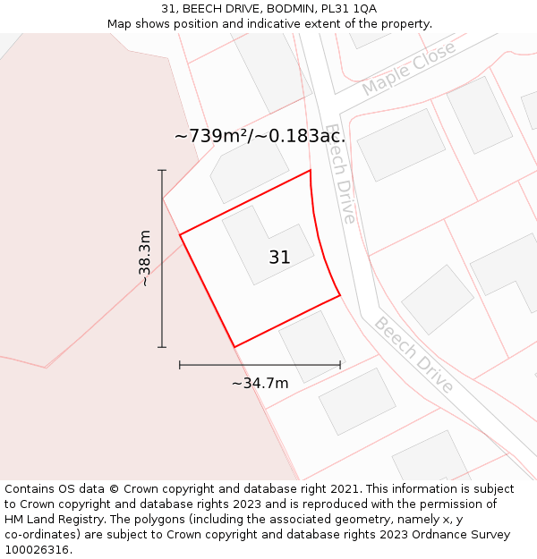 31, BEECH DRIVE, BODMIN, PL31 1QA: Plot and title map