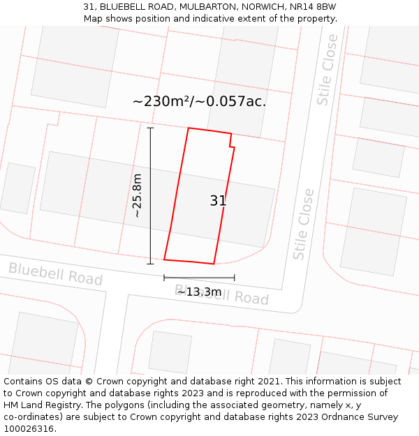 31, BLUEBELL ROAD, MULBARTON, NORWICH, NR14 8BW: Plot and title map