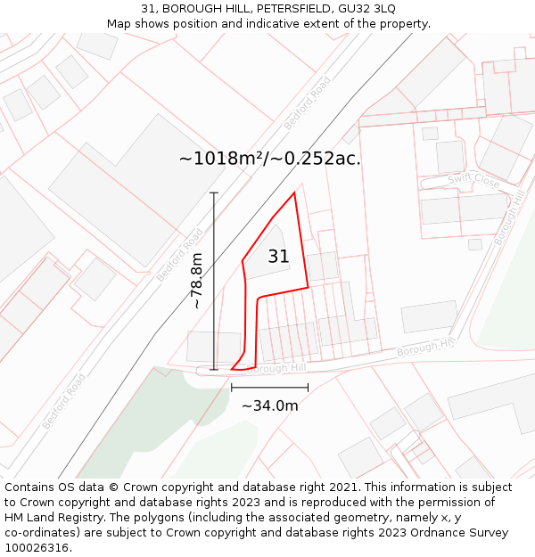 31, BOROUGH HILL, PETERSFIELD, GU32 3LQ: Plot and title map