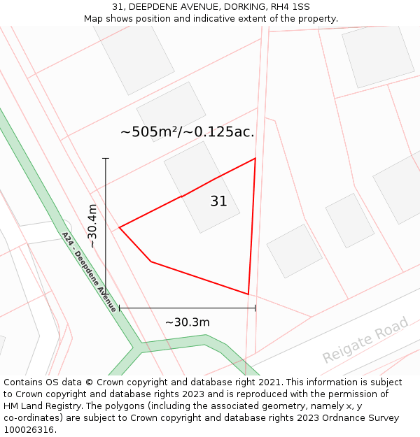 31, DEEPDENE AVENUE, DORKING, RH4 1SS: Plot and title map