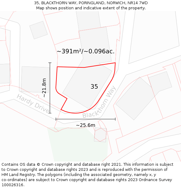 35, BLACKTHORN WAY, PORINGLAND, NORWICH, NR14 7WD: Plot and title map