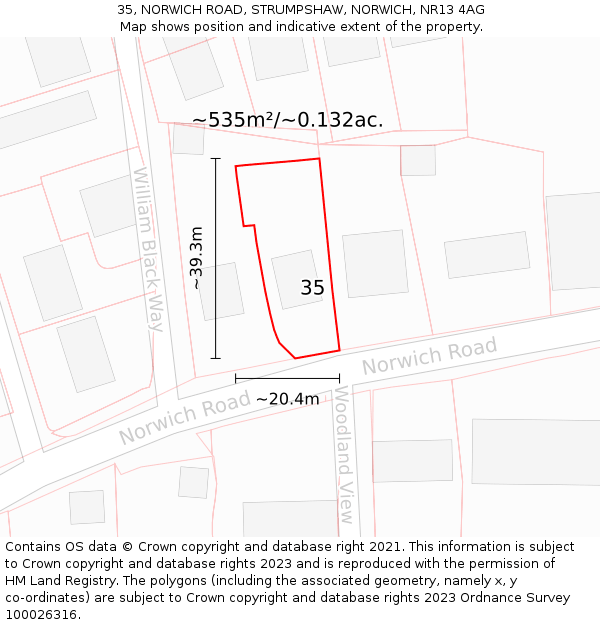 35, NORWICH ROAD, STRUMPSHAW, NORWICH, NR13 4AG: Plot and title map