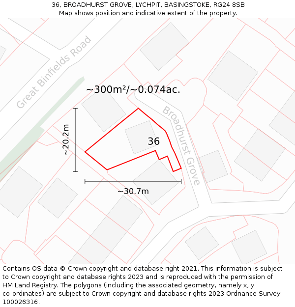 36, BROADHURST GROVE, LYCHPIT, BASINGSTOKE, RG24 8SB: Plot and title map