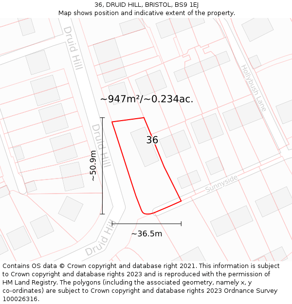 36, DRUID HILL, BRISTOL, BS9 1EJ: Plot and title map