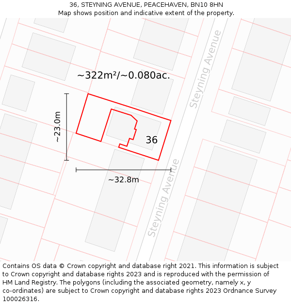 36, STEYNING AVENUE, PEACEHAVEN, BN10 8HN: Plot and title map