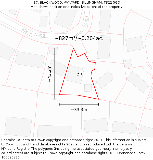 37, BLACK WOOD, WYNYARD, BILLINGHAM, TS22 5GQ: Plot and title map