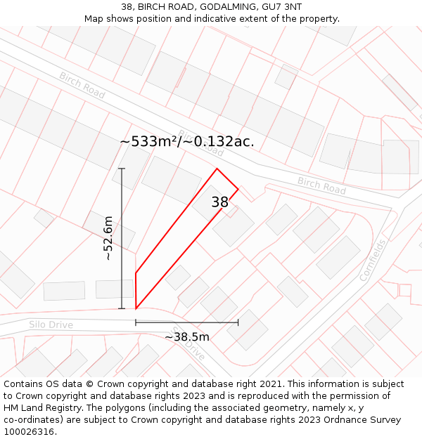 38, BIRCH ROAD, GODALMING, GU7 3NT: Plot and title map