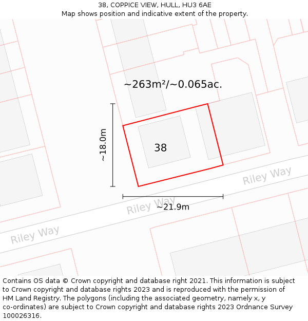 38, COPPICE VIEW, HULL, HU3 6AE: Plot and title map