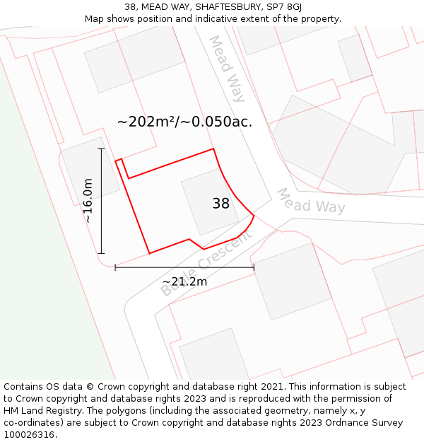 38, MEAD WAY, SHAFTESBURY, SP7 8GJ: Plot and title map