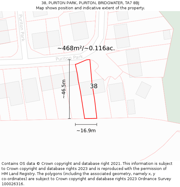 38, PURITON PARK, PURITON, BRIDGWATER, TA7 8BJ: Plot and title map