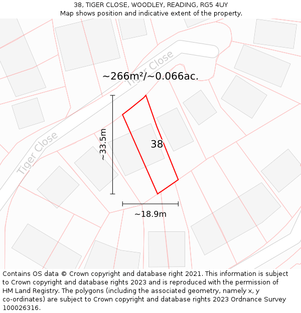 38, TIGER CLOSE, WOODLEY, READING, RG5 4UY: Plot and title map