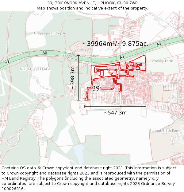 39, BRICKWORK AVENUE, LIPHOOK, GU30 7WP: Plot and title map