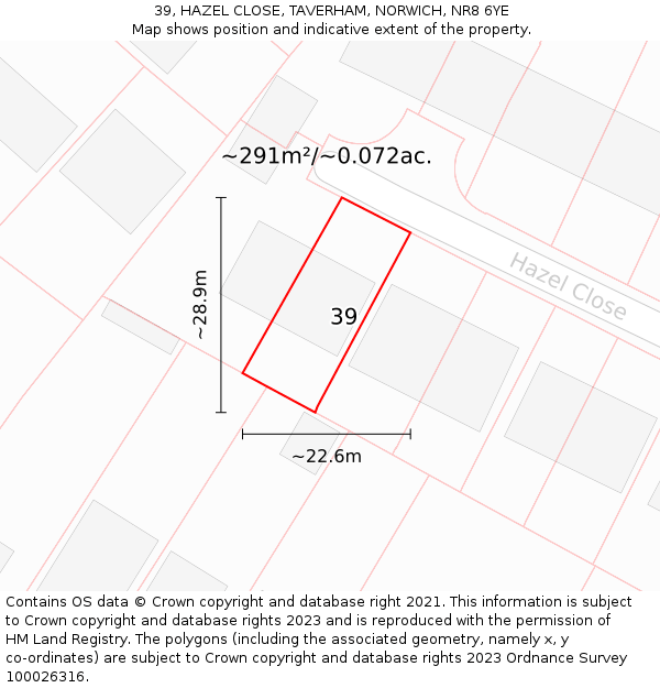 39, HAZEL CLOSE, TAVERHAM, NORWICH, NR8 6YE: Plot and title map