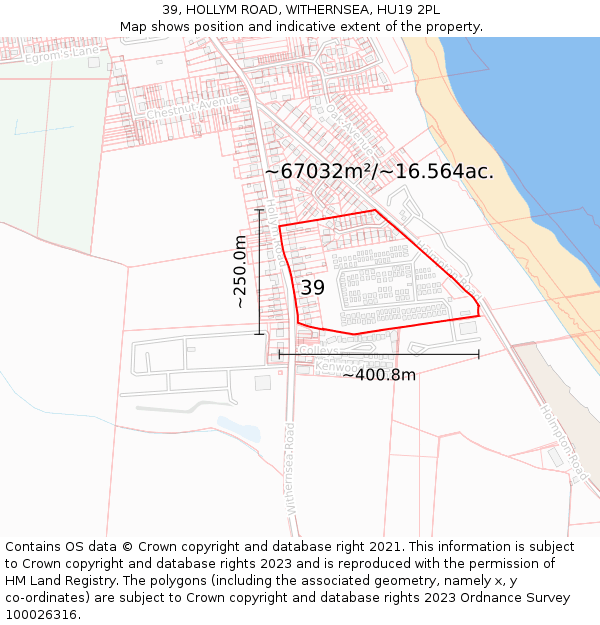 39, HOLLYM ROAD, WITHERNSEA, HU19 2PL: Plot and title map