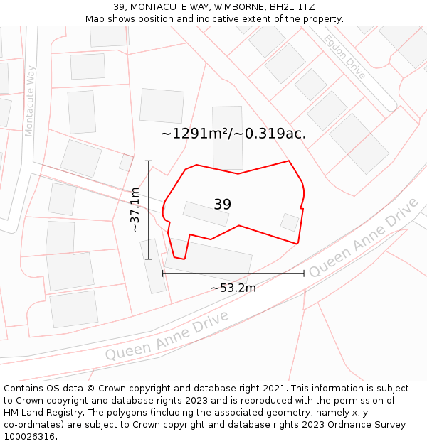 39, MONTACUTE WAY, WIMBORNE, BH21 1TZ: Plot and title map